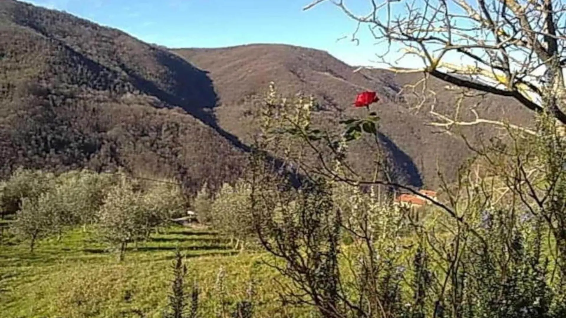 Belvilla By Oyo Il Ciliegio Donnini Italy