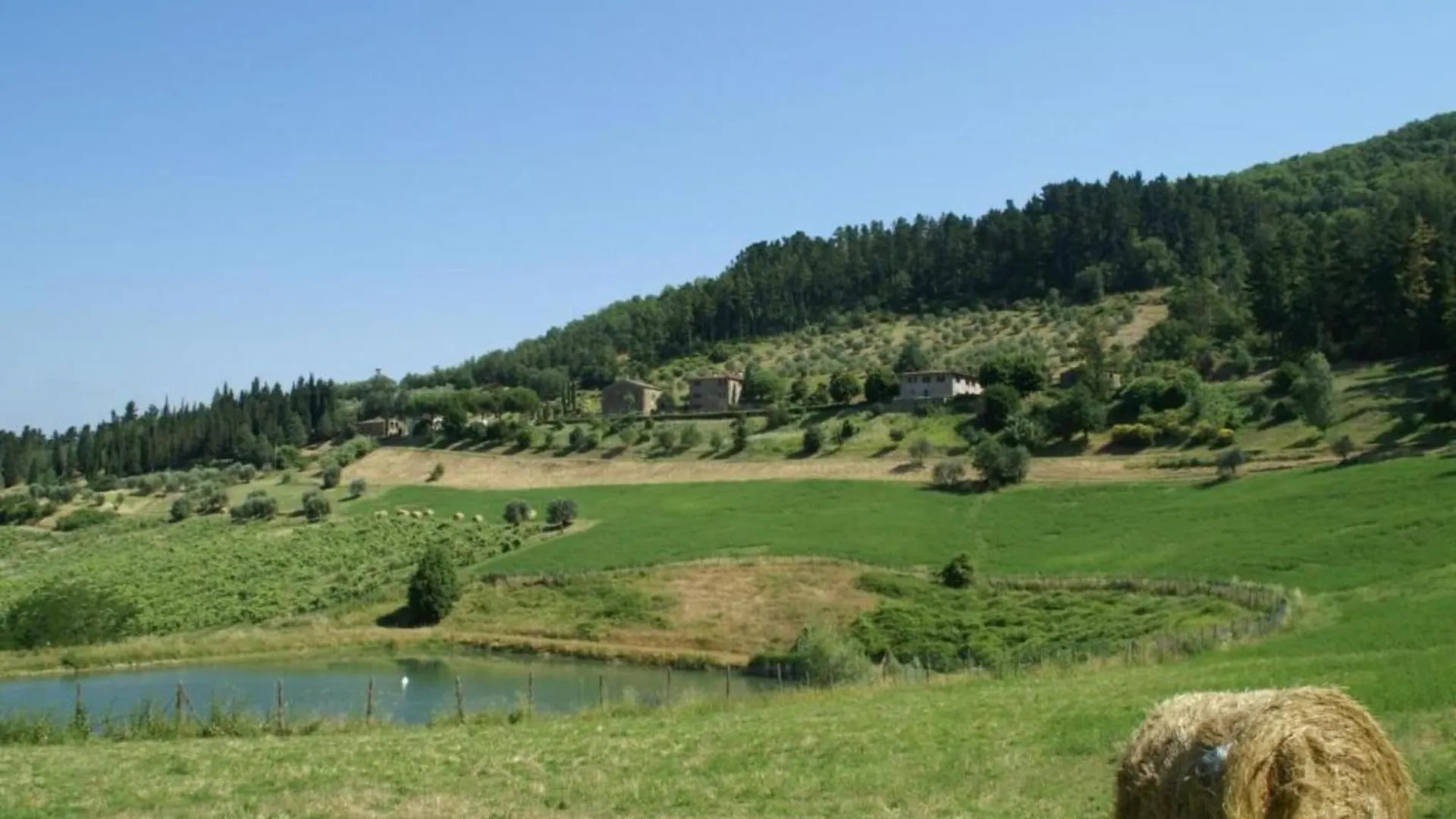 Belvilla By Oyo Il Ciliegio Donnini Holiday home